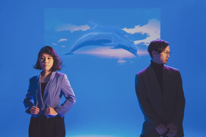 1_Dolphin-1