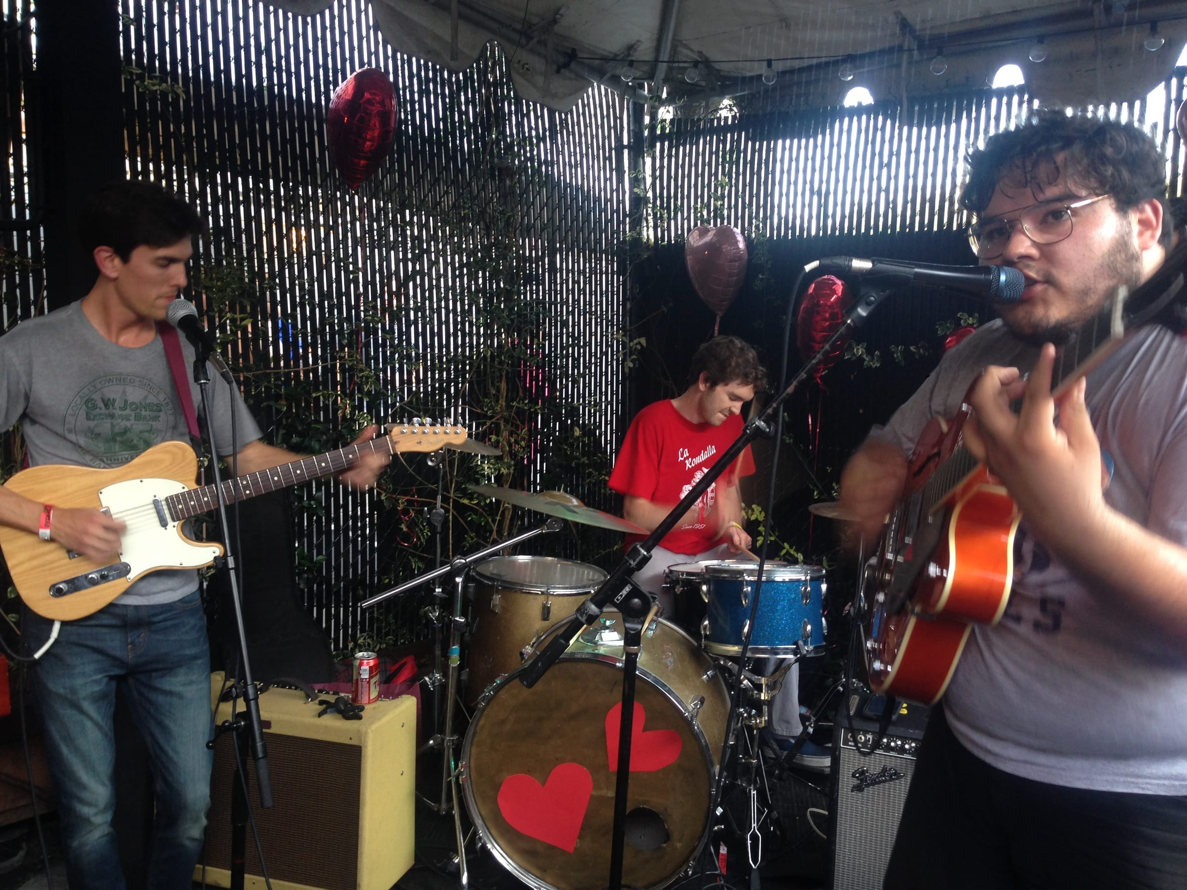Dante Elephante