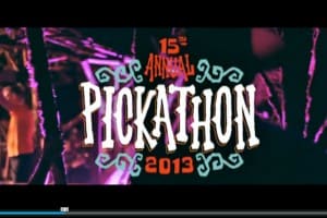 getvidpicture