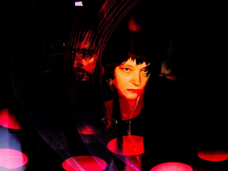 The Spider Ferns —A New Press Photos