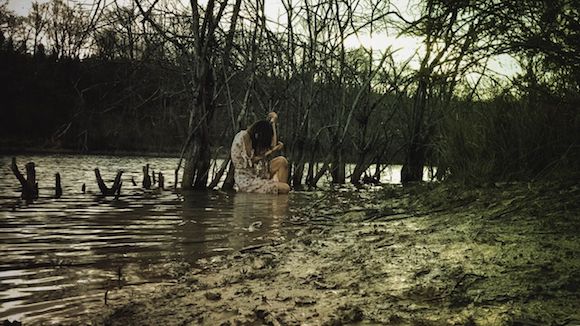 swamp