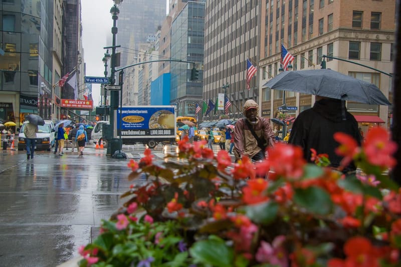 new-york-rain